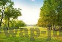 足球比分分析310-足球比分分析310，解码胜平负背后的数据密码与投注逻辑
